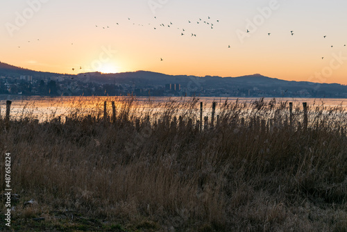 Sunset at the lake of Constance in Altenrhein in Switzerland