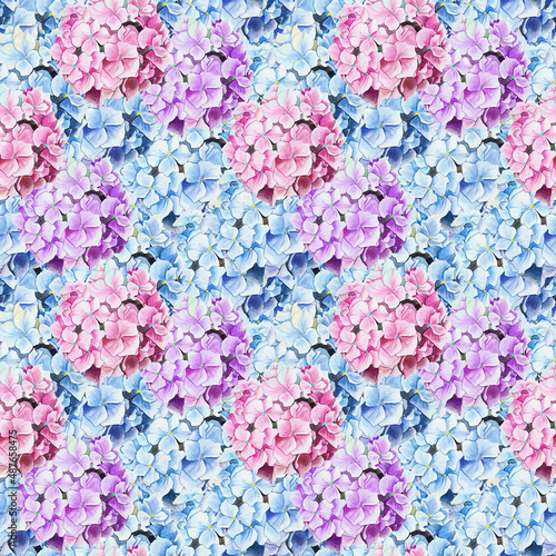 Pink and blue hydrangea pattern © Kateryna