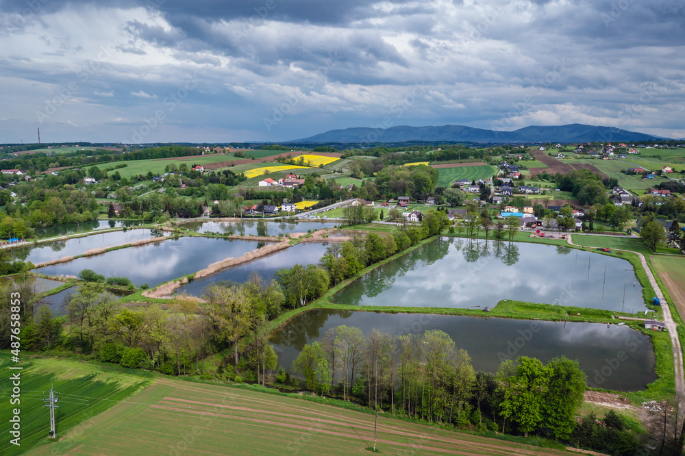 Aerial drone photo of fishing ponds in Miedzyrzecze Gorne, small village in Silesia region of Poland