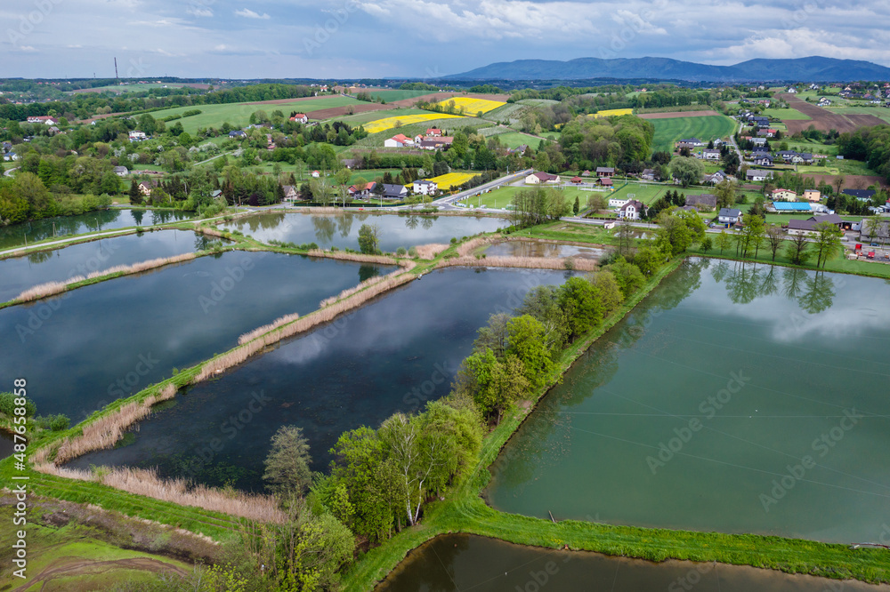 Drone photo of fishing ponds in Miedzyrzecze Gorne, small village in Silesia region of Poland