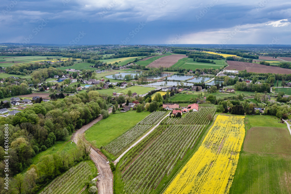 Drone photo of fields in Miedzyrzecze Gorne, small village in Silesia region, Poland