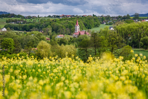 Rapeseed field and Evangelical-Augsburg Church in Miedzyrzecze Gorne, small village in Silesia region of Poland photo