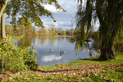 lake in the park