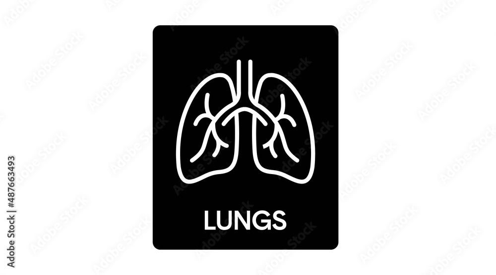 Lungs Icon. Vector editable linear simple illustration of lungs Lungs Icon. Vector editable linear simple illustration of lungs
