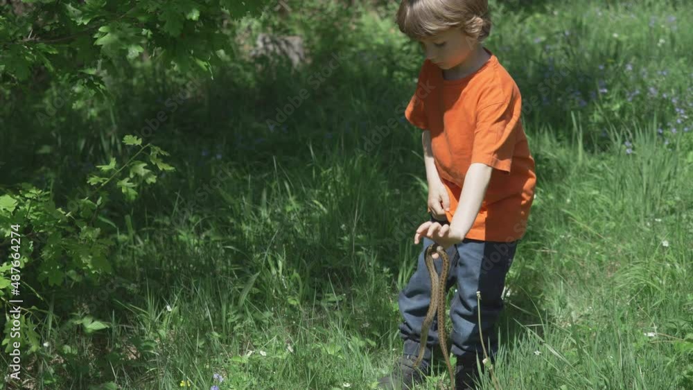 Cute little boy releasing a snake in the wild Cute little boy releasing a snake in the wild
