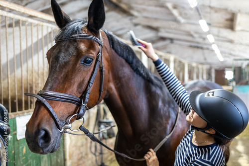 Young girl combing and cleaning her horse at the stable.