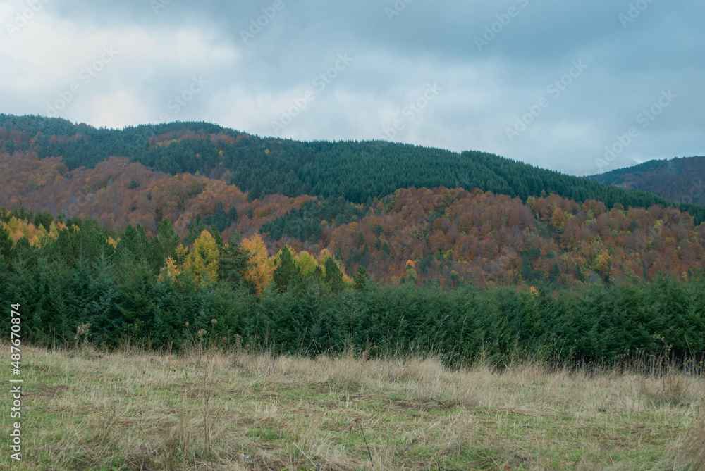 Mountain scenery with green and red forests