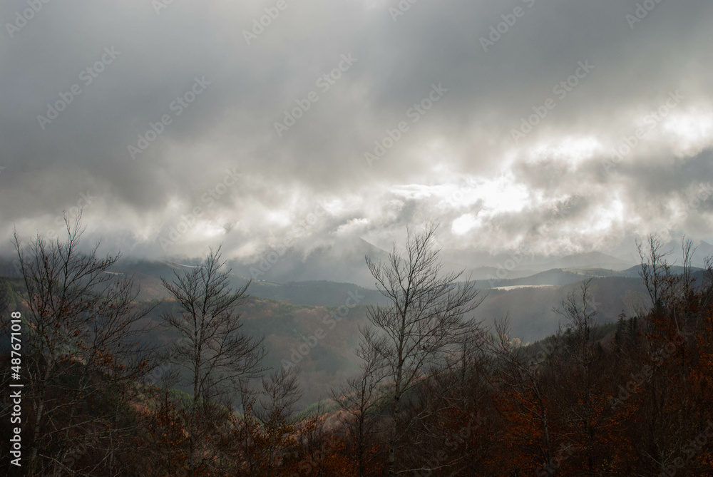 Fototapeta premium Mountain scenery with green and red forests