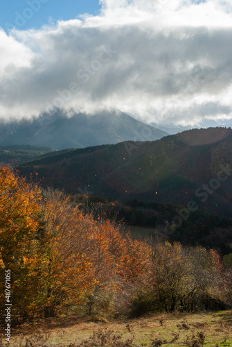 Mountain scenery with green and red forests