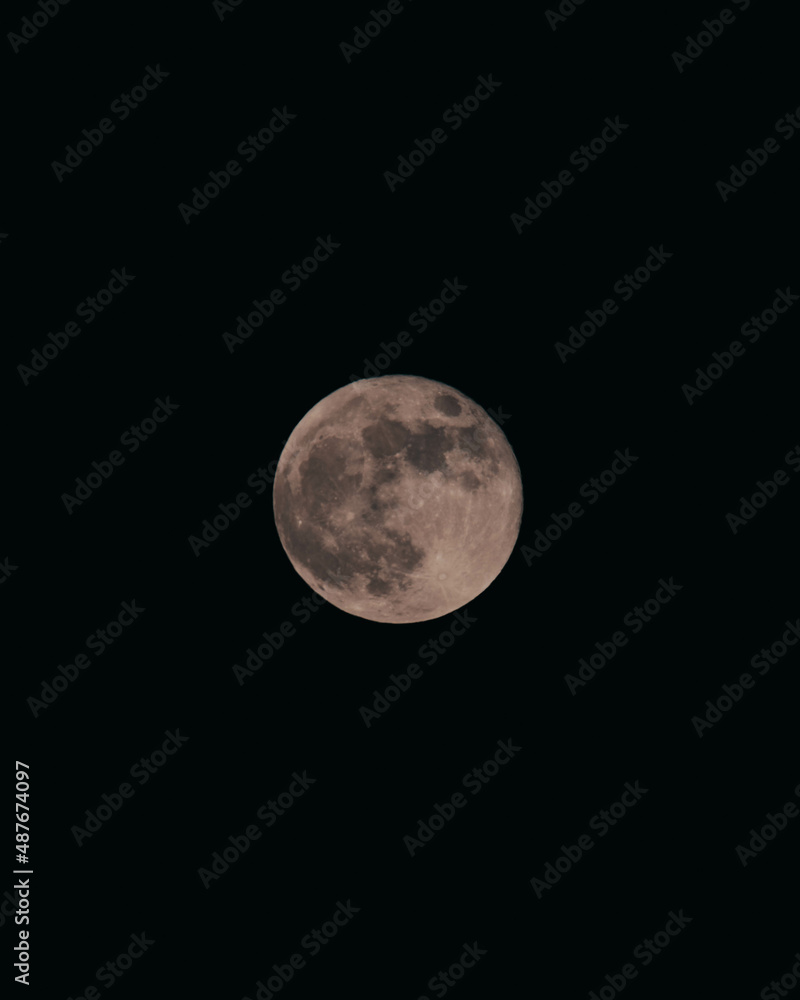Pink moon Pink moon