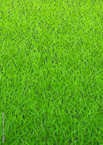 明るい芝生のベクター素材