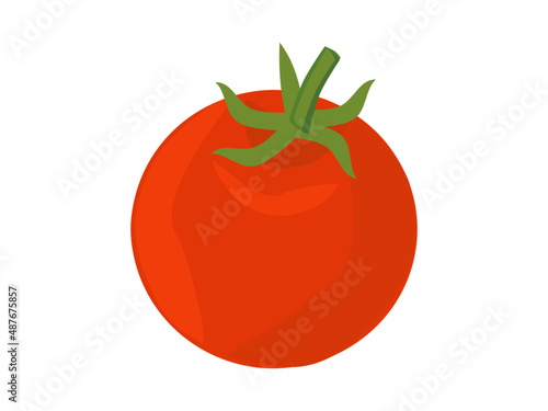 Tomato, ripe red fruit, tomato on white background, vegetable for print and design