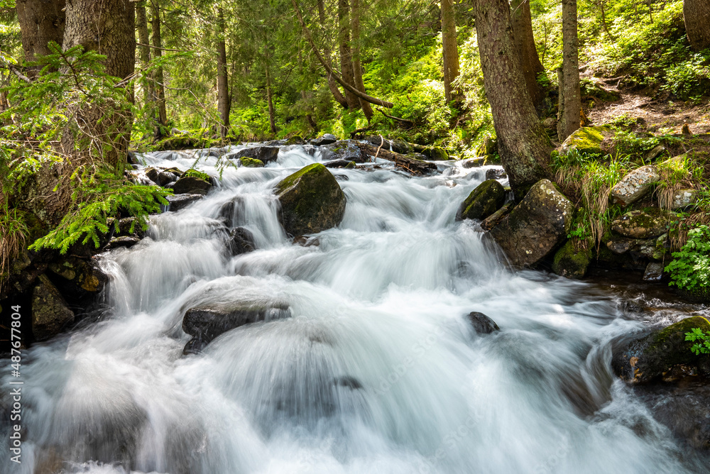 Stream of splashing water flowing through the rocks in dense forest landscape. Waterfall in the mountains Stream of splashing water flowing through the rocks in dense forest landscape. Waterfall in the mountains