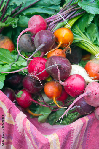 Colorful and Fresh Garden Beets on Display