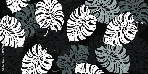 Black and white tropical leaves pattern. Palm tree background. Textile, fabric, texture, poster. Vector illustration EPS 10
