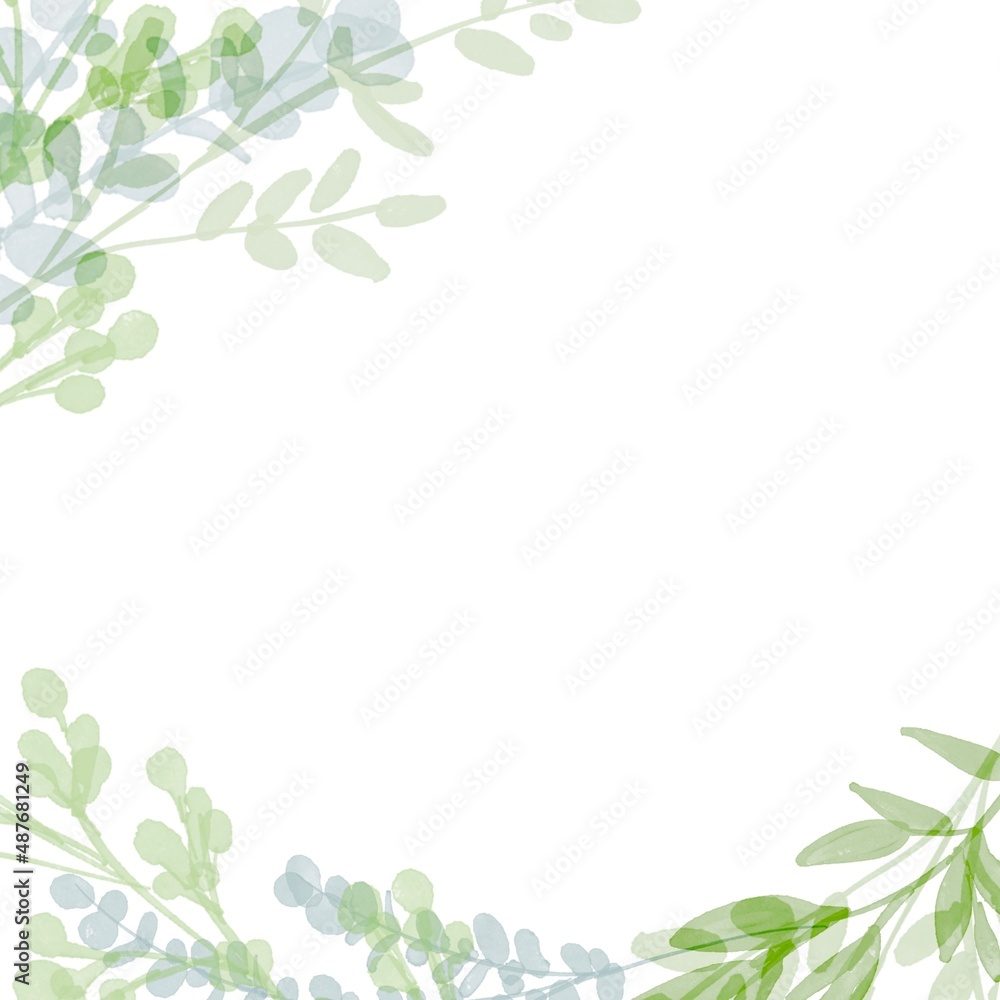 Fototapeta 水彩画 水彩画で描いた緑のハーブイラスト 草木の植物フレーム シンプル背景 Watercolor Painting Green Herb Illustration In Watercolor Naklejamy Com