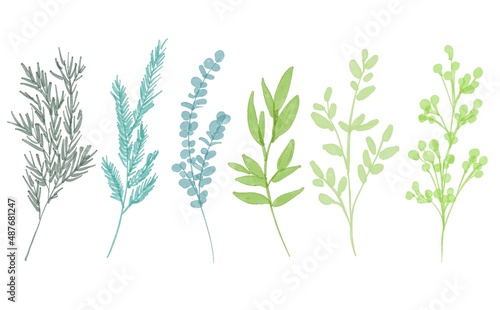 水彩画。水彩画で描いた緑のハーブイラスト。草木の植物イラストセット。Watercolor painting. Green herb illustration in watercolor. Set of plant illustrations of plants and trees.