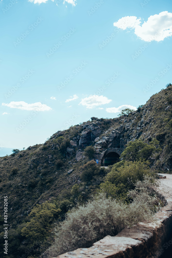 Naklejka premium nature