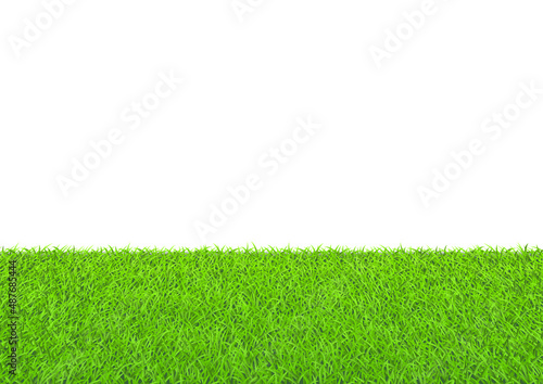 明るい芝生と空間のベクター素材