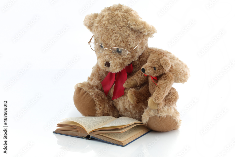 Teddy bears reading a book parenting concept Teddy bears reading a book parenting concept