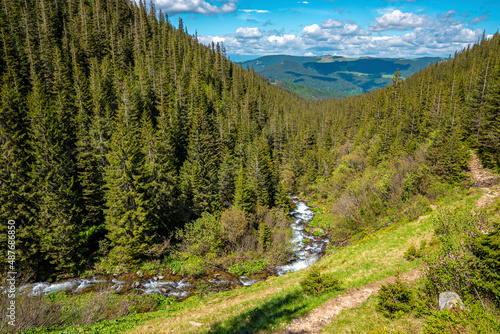 Beautiful view of stream of water and conferous spruce tree covered forest. Cloudy sky over mountain range photo