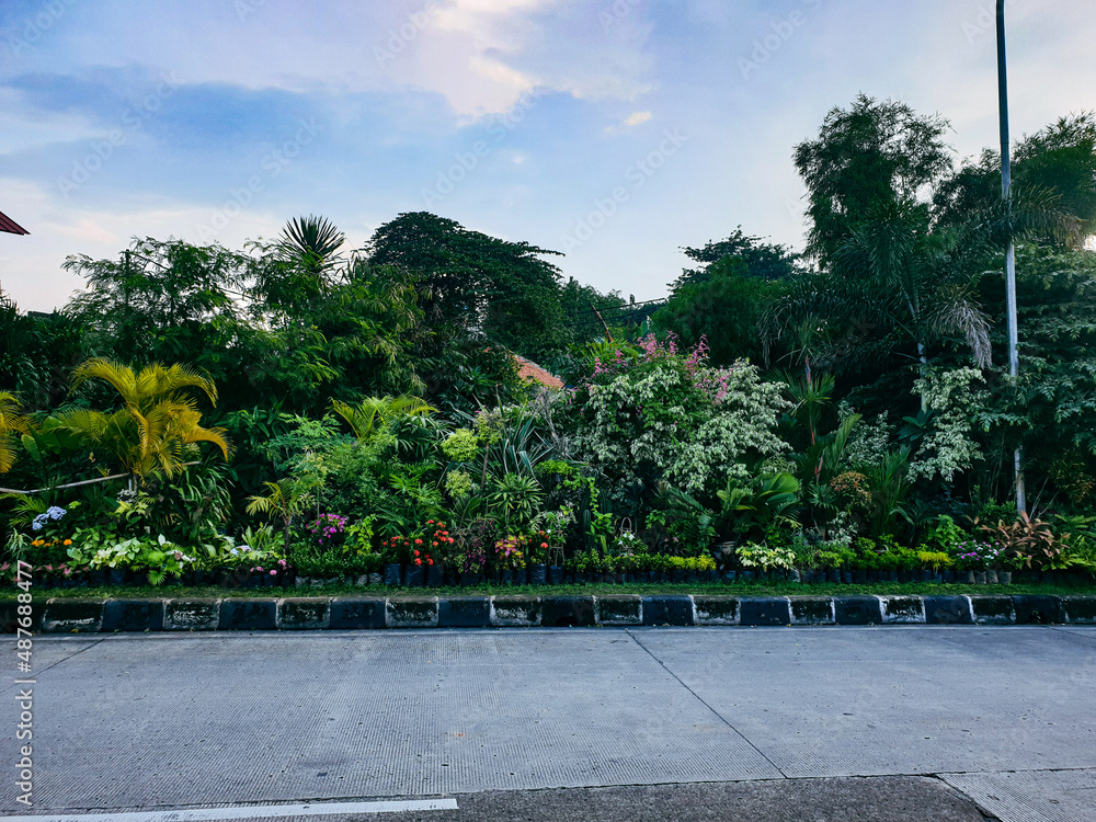 Obraz premium park country