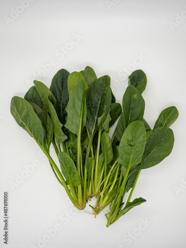 Just bought vegetables, a bag of spinach
