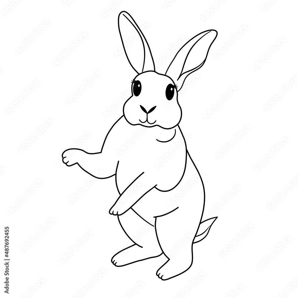 Fototapeta premium cute hand draw standing minirex bunny rabbit vector