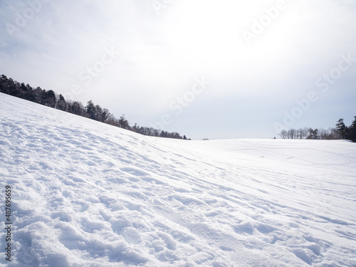 Wallpaper Mural 冬の雪原の風景 Torontodigital.ca