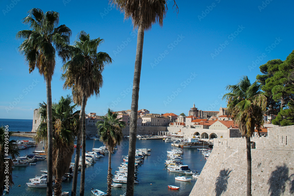 palm trees by the sea and old town