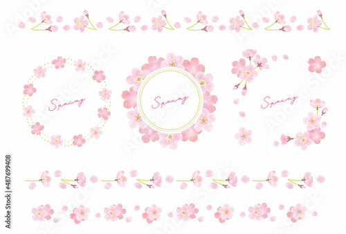 さくらの花のフレーム枠と飾り罫線のベクター