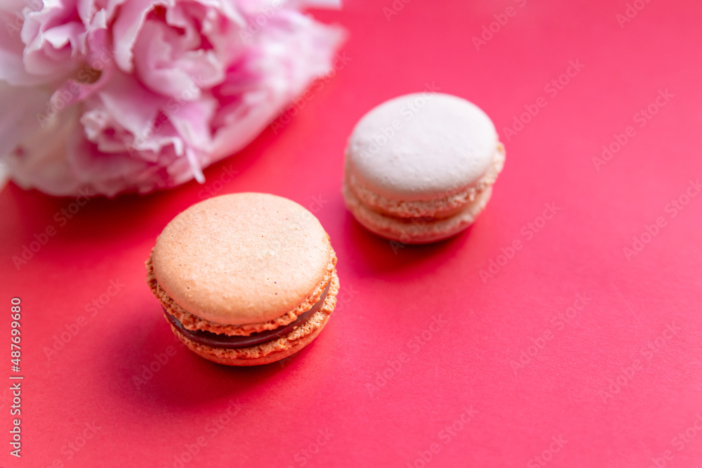 Top view of colorful macaron or macaroon and pink peony flower on red background.selective focus. Flat lay with Almond cookies.Variety of macarons pastry. copy space
