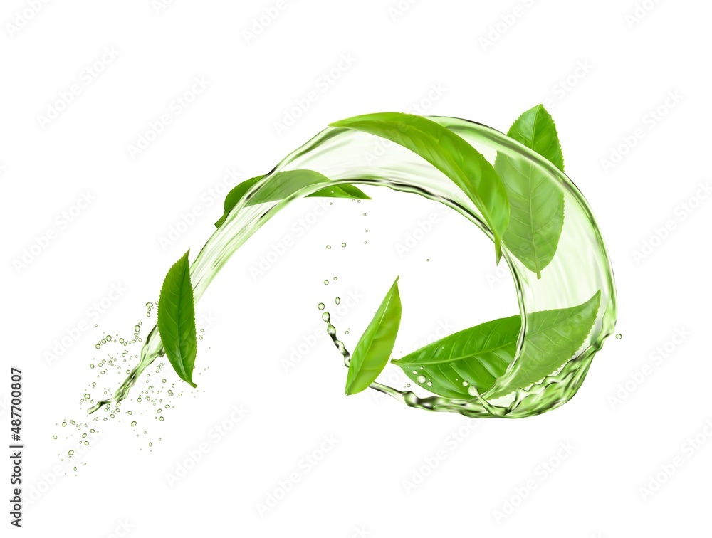 Herbal tea round swirl splash with green leaves and water flow. Vector organic drink with splatters. 3d ad with realistic foliage fall in aqua. Fresh plant, natural aroma beverage - obrazy, fototapety, plakaty 