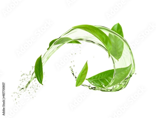 Herbal tea round swirl splash with green leaves and water flow. Vector organic drink with splatters. 3d ad with realistic foliage fall in aqua. Fresh plant, natural aroma beverage photo