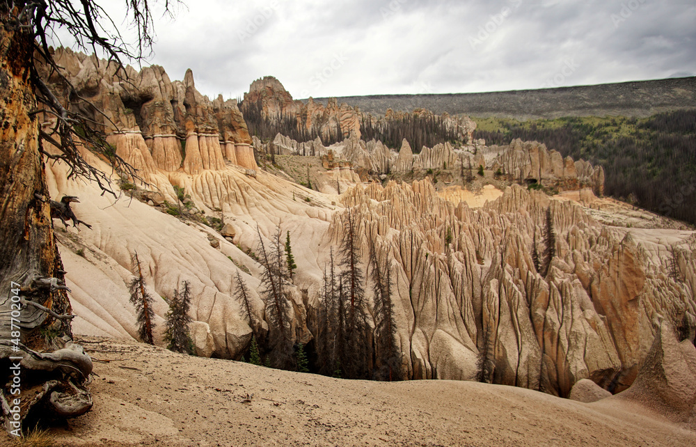 Volcanic Rocks Colorado Heavily eroded formations of volcanic ash at Wheeler Geological Area ...