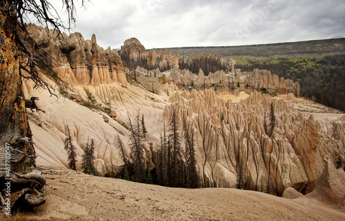Heavily eroded formations of volcanic ash at Wheeler Geological Area near Creede Colorado photo