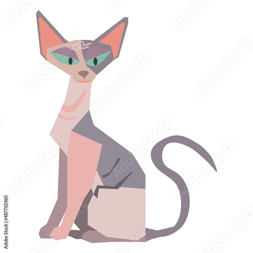 Sphynx cat vector illustration in flat color design
