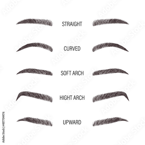 Female eyebrows. Various forms and types. Arch brows shapes. Linear vector Illustration in trendy minimalist style. Brow bar logo.