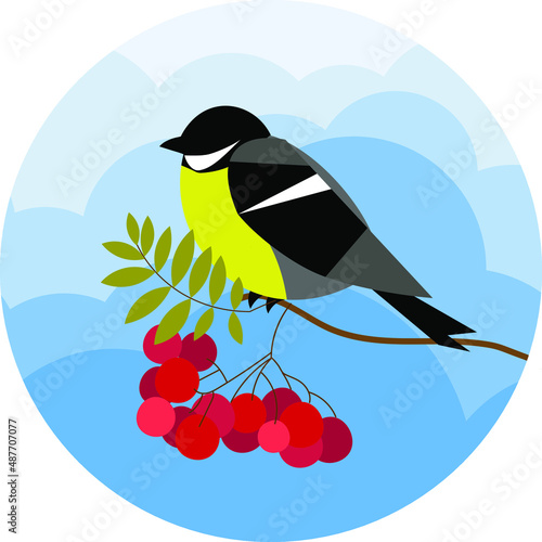 Vector illustration with tit. Tit on the background of clouds. Template for postcard, poster, web design. Great Tit with Black Head and Yellow Body.