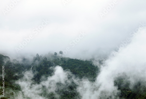 Fototapeta Naklejka Na Ścianę i Meble -  Top view Landscape of Morning Mist with Mountain Layer at north of Thailand