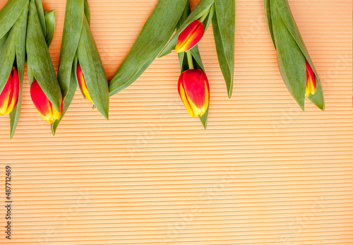 Top view photo of tulip flowers for your inscription on an isolated orange background with copy space