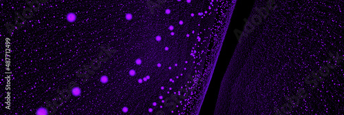 abstract long banner with glowing purple particles.  © zozo