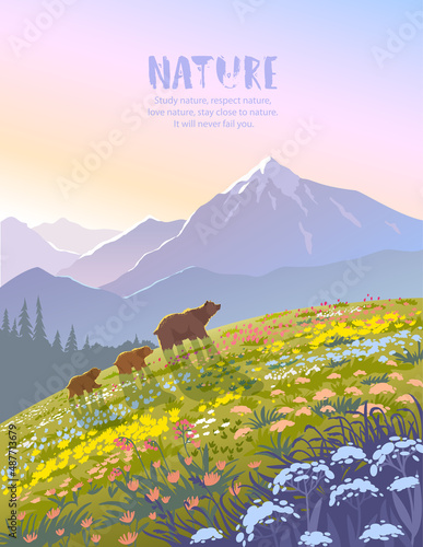 bears in valley