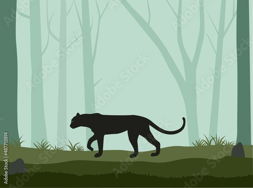 Panther in the forest