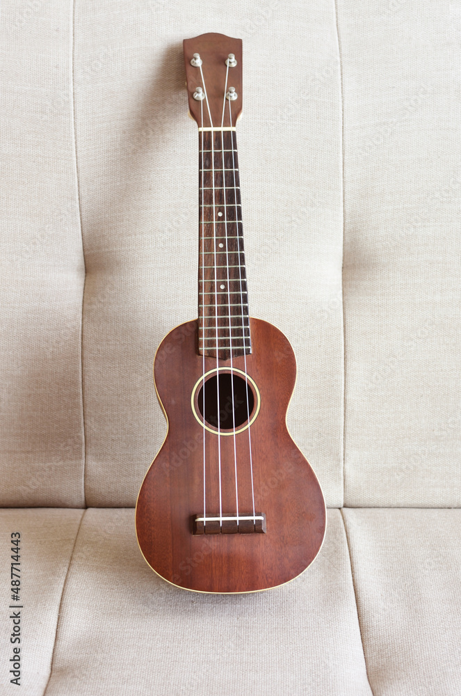Obraz premium Ukulele on couch at home
