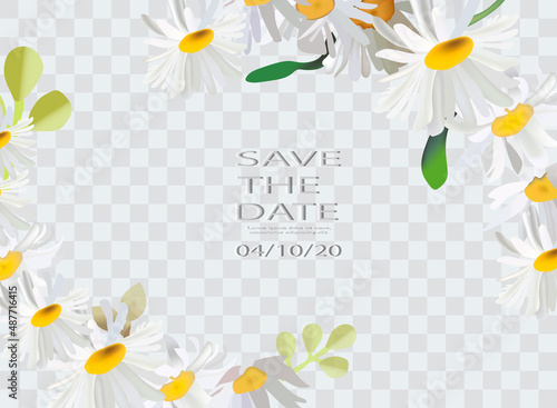 Greenery, white chamomile vector design round invitation frame. Rustic wedding greenery.