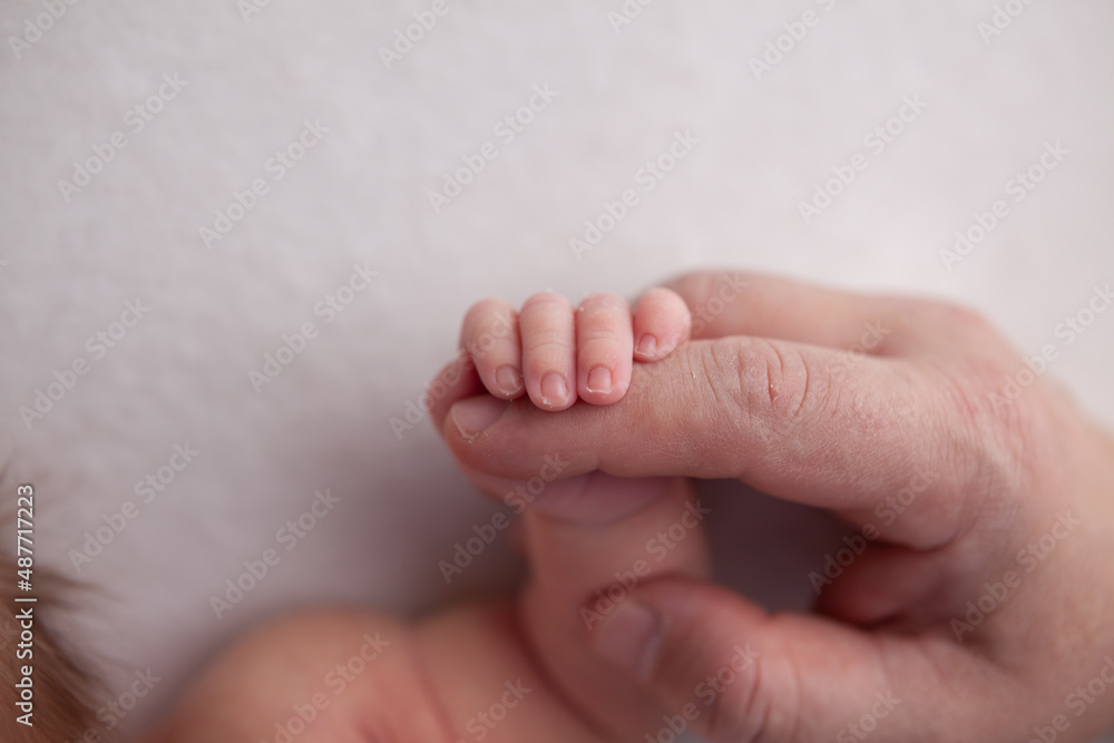 Little newborn baby fingers birth concept on white background Little newborn baby fingers birth concept on white background