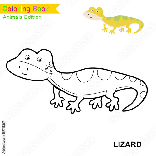 Children coloring page of animal kingdom. Kids art activity page. Funny coloring game. Preschool education developing worksheet. Black and white vector illustration. Motor skills education.