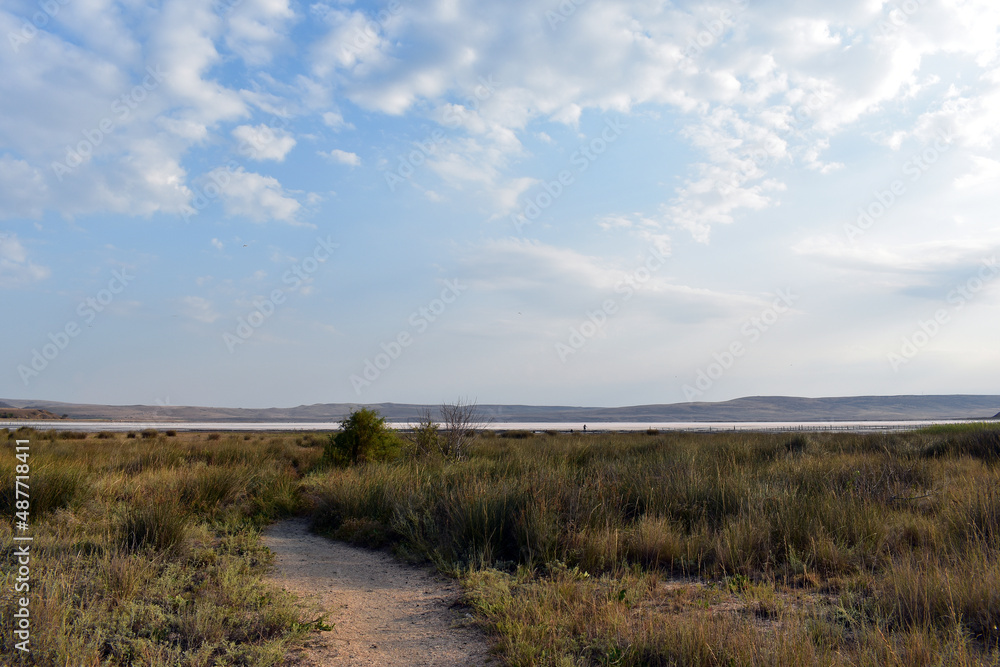 dunes and sea dunes and sea