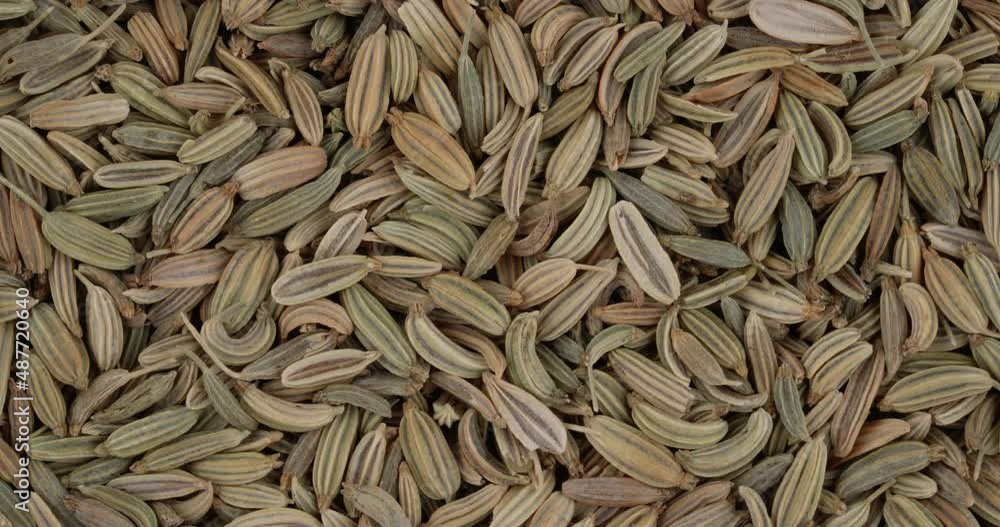 Top view of fennel seeds rotating. Closeup. Macro. Top view of fennel seeds rotating. Closeup. Macro.